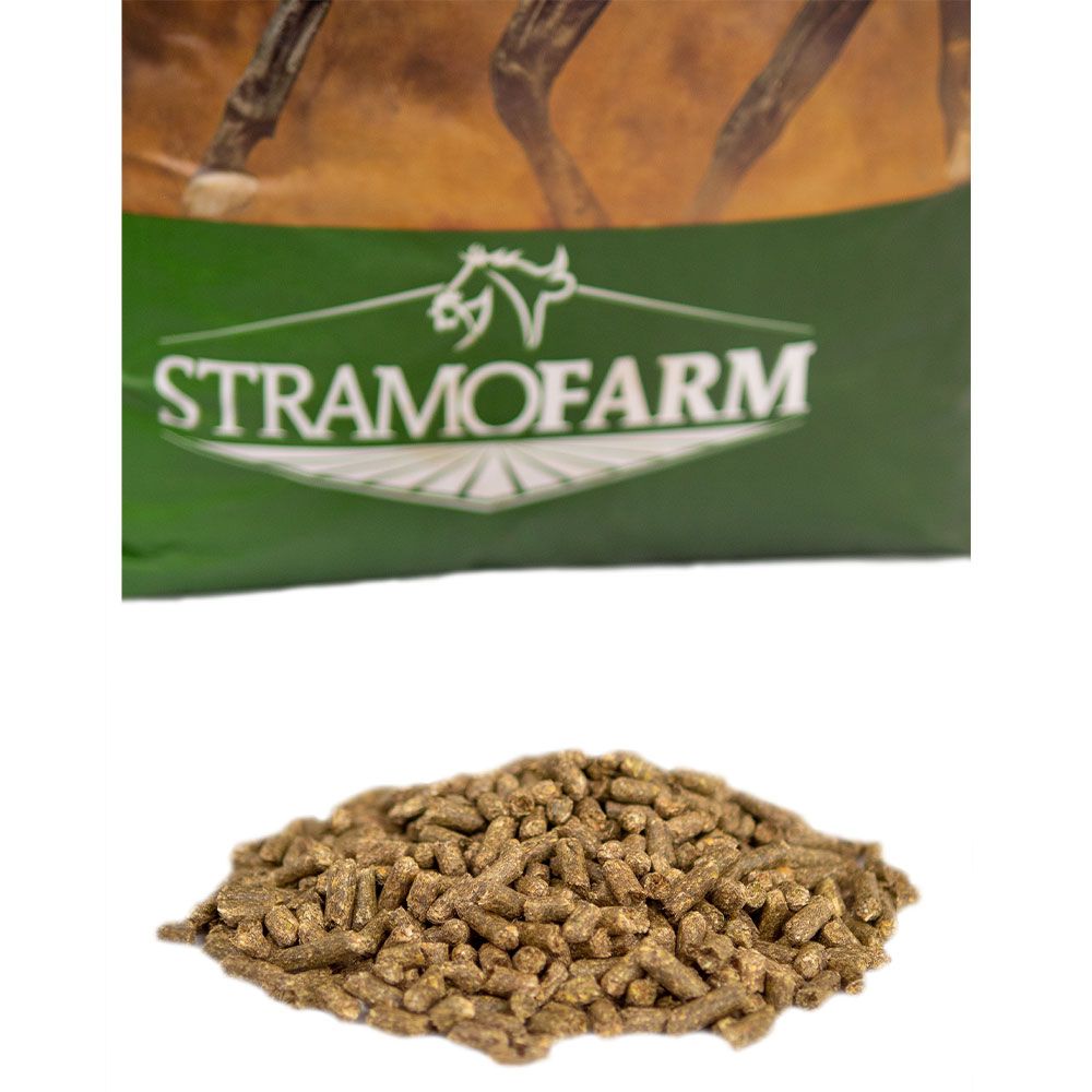 15,99€/kg 1000gr Pack Luzerne Saat ewiger Klee Futterluzerne Saatgut
